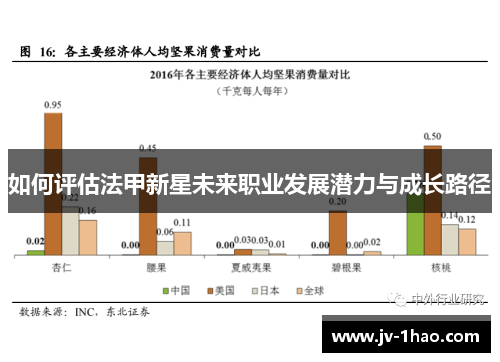 如何评估法甲新星未来职业发展潜力与成长路径 如何评估法甲新星未来职业发展潜力与成长路径