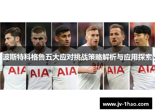 波斯特科格鲁五大应对挑战策略解析与应用探索 波斯特科格鲁五大应对挑战策略解析与应用探索